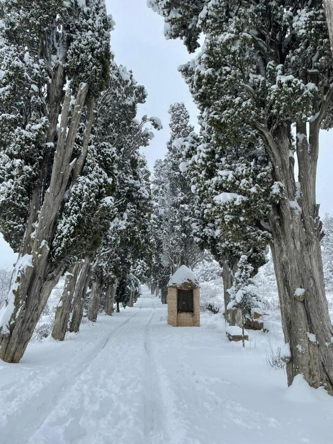 Cals Iaios Villa Villalba dels Arcs Bagian luar foto